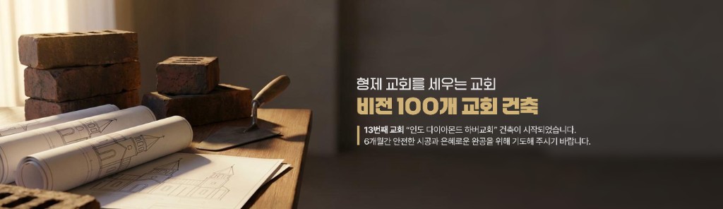 형제 교회를 세우는 교회, 비전 100개 교회 건축
